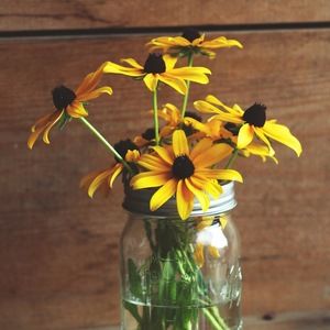 Meet your Posher, Teresa